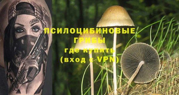 спиды Абинск