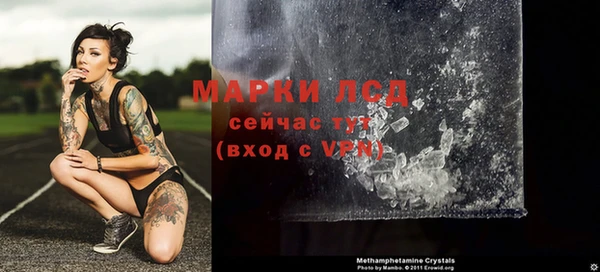 тгк Алзамай