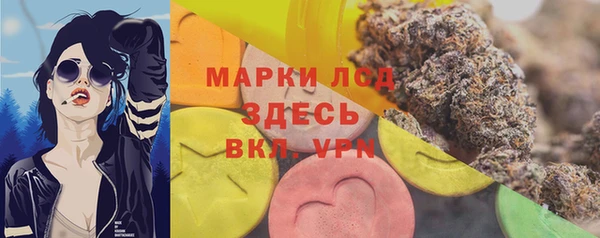 тгк Алзамай
