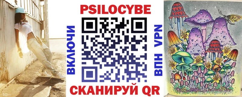 Псилоцибиновые грибы Cubensis  Черноголовка 